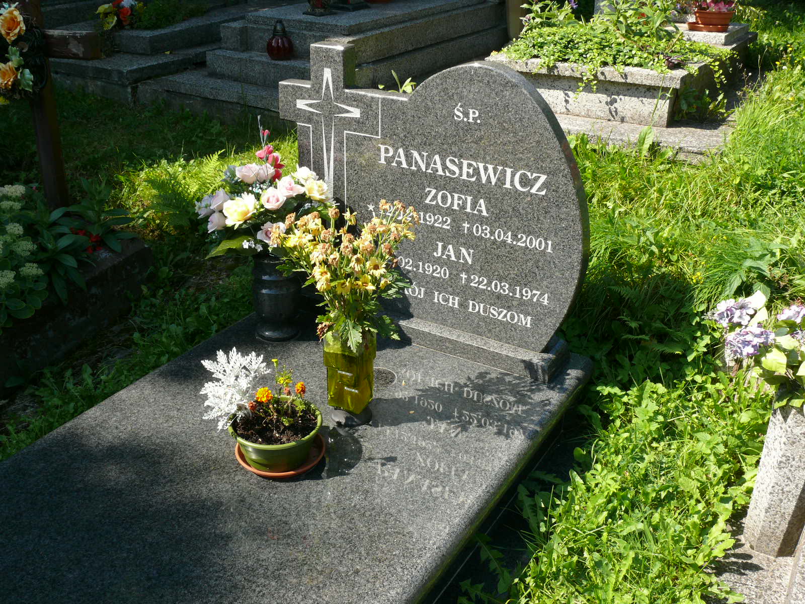 Grób Zofia Panasewicz