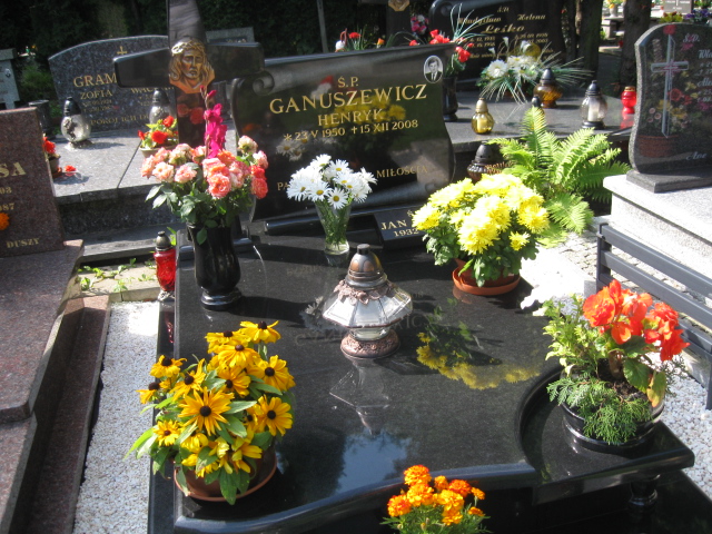 Grób Henryk Ganuszewicz
