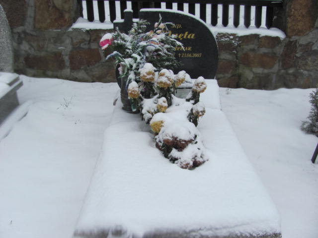 Grób Władysława Buda